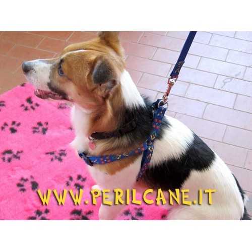 Pettorina nylon blu fantasy per cani taglia medio-piccola