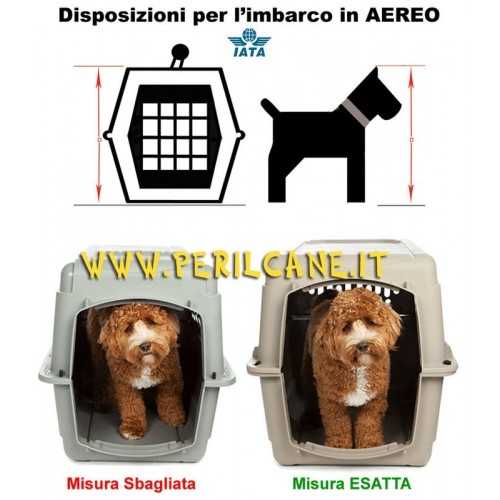 Trasportino Sky Kennel per cani di taglia media e grande omologato Iata