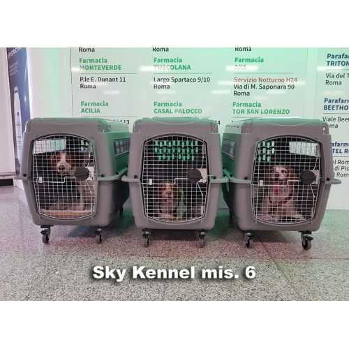 Trasportino Sky Kennel Petmate trasporto cani in aereo