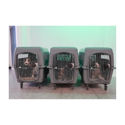 Trasportino Sky Kennel Petmate